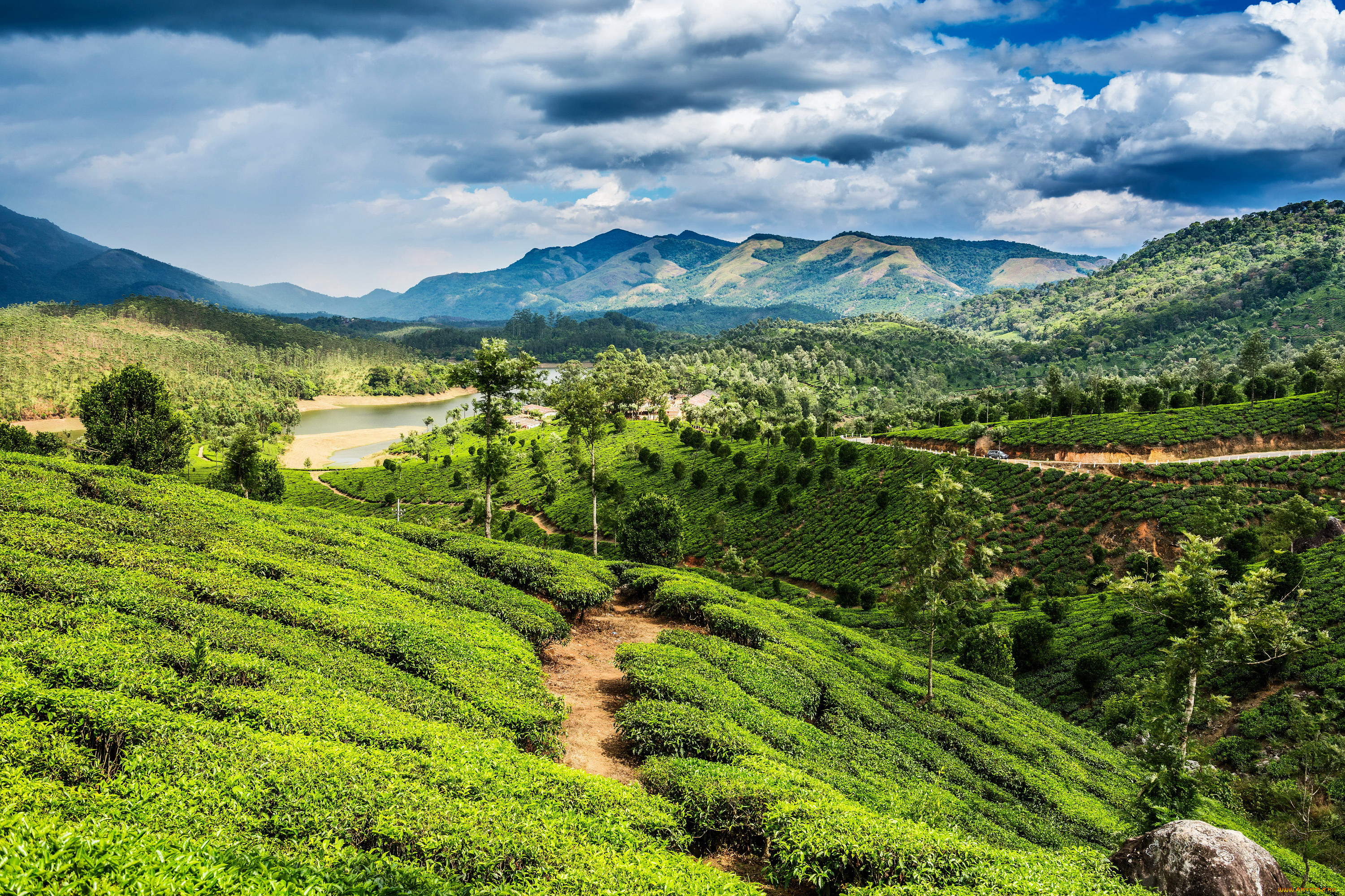 , , kerala, india, 